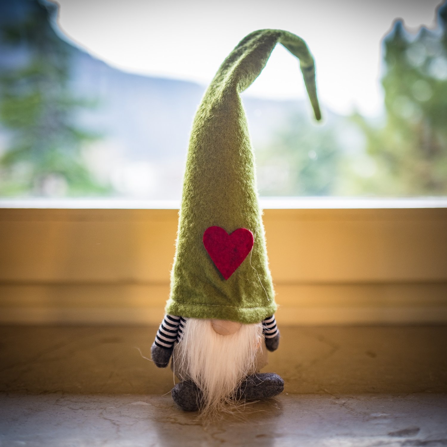  Meet our new family mascot…Gnomeo!  