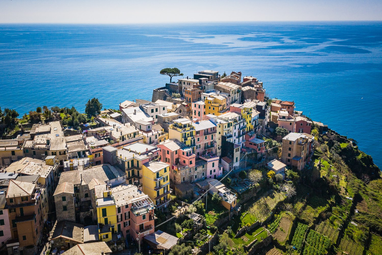 2019_03_DJI_0444.jpg