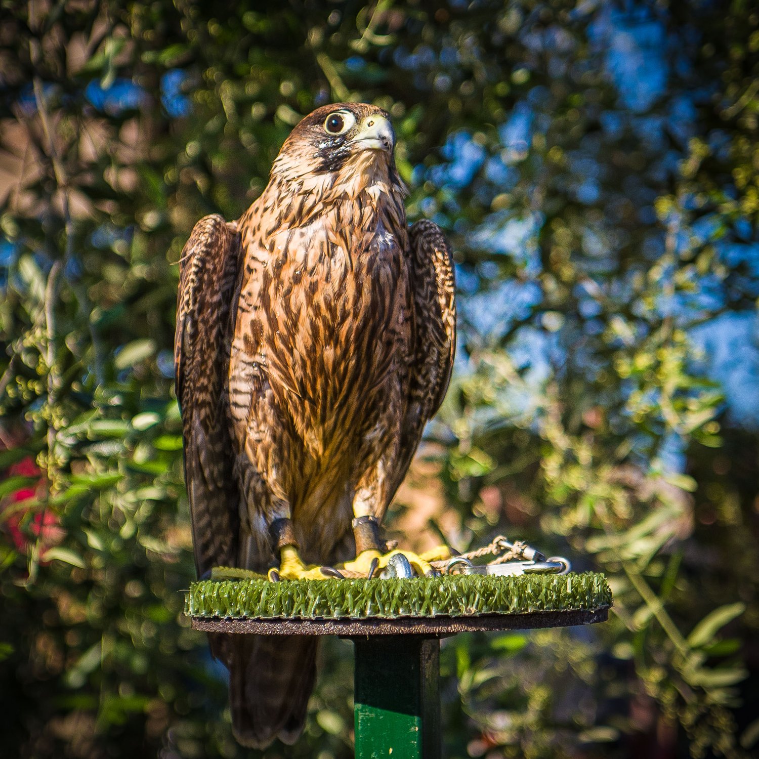 2019_06_L1080065.jpg