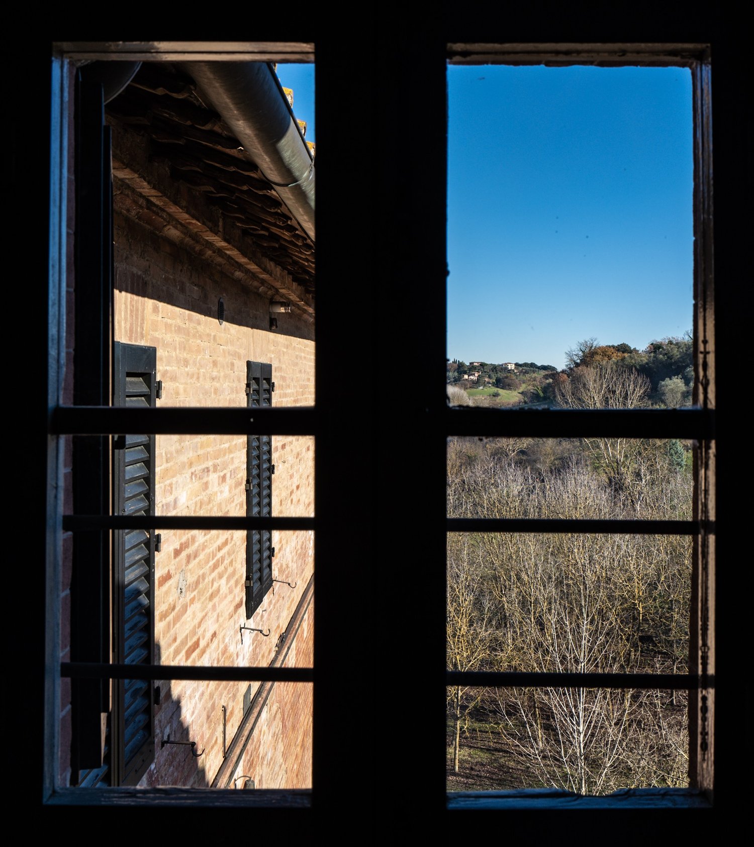 Views from every window