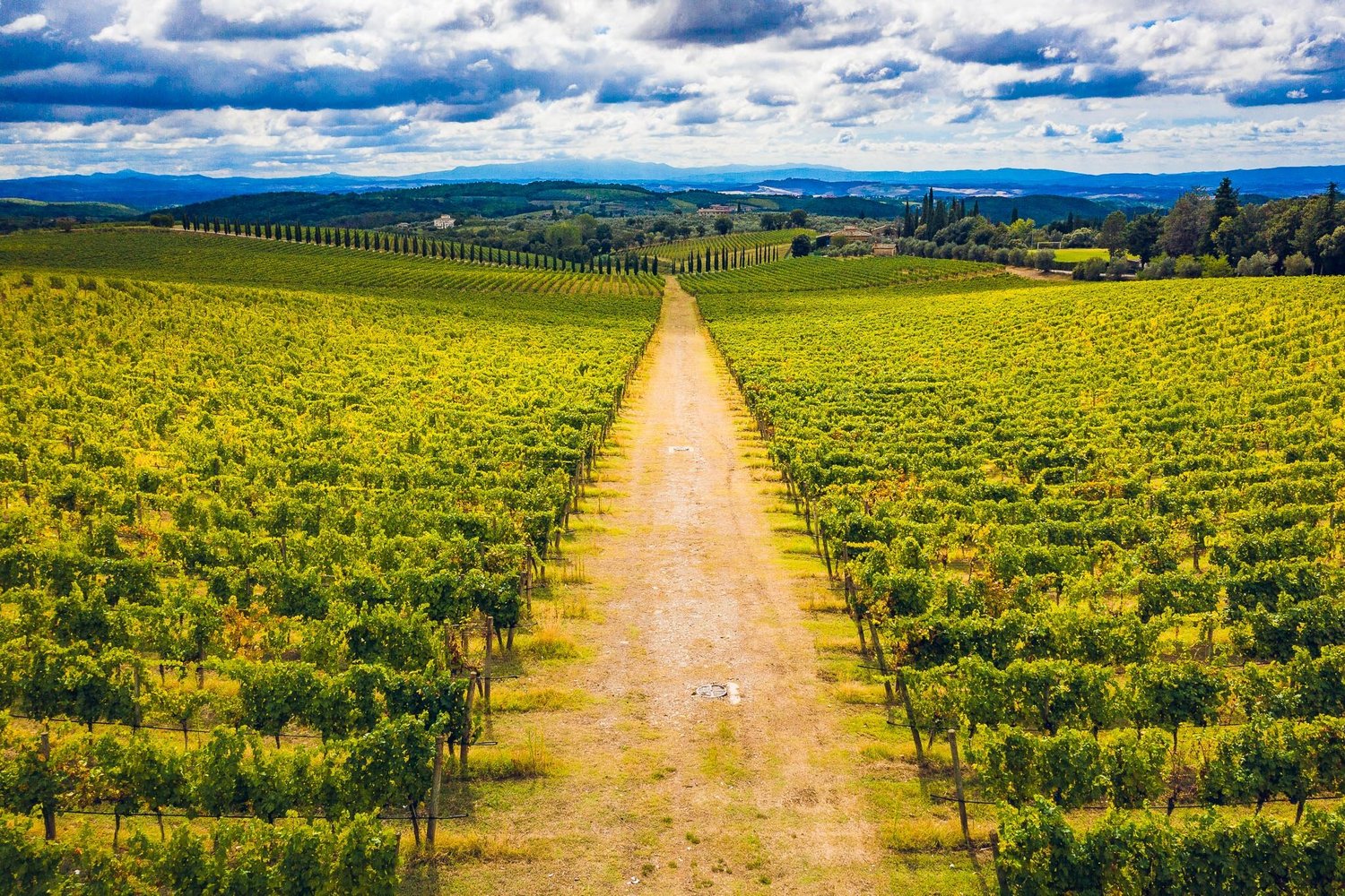 2019_09_DJI_0509.jpg