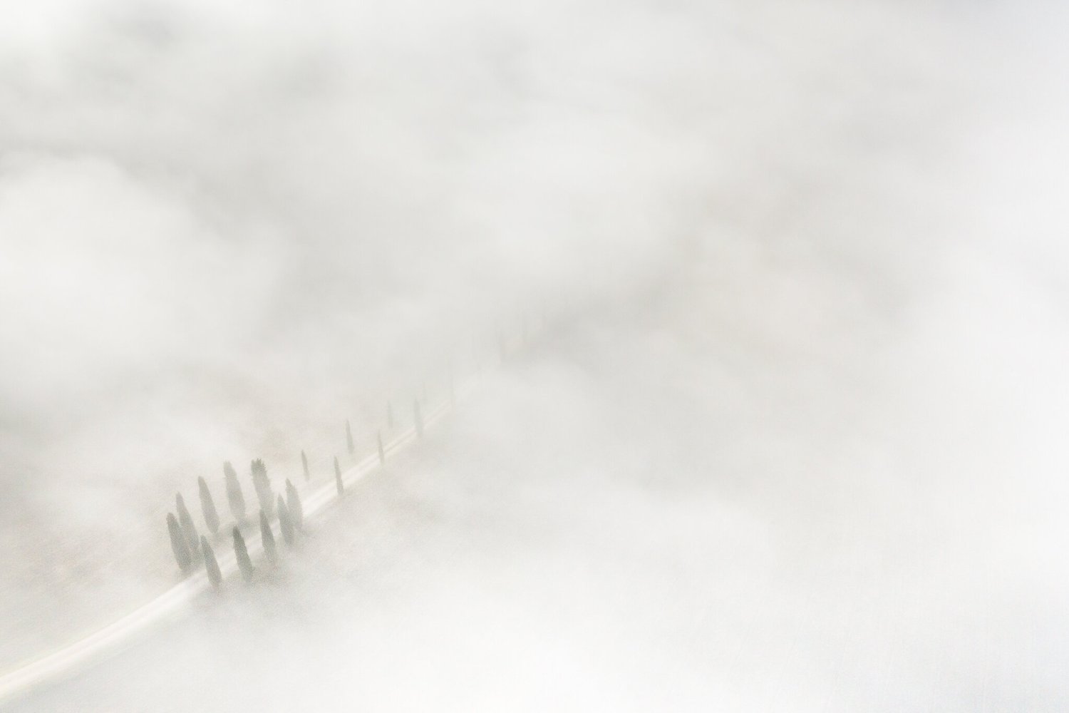 2019_10_DJI_0599.jpg