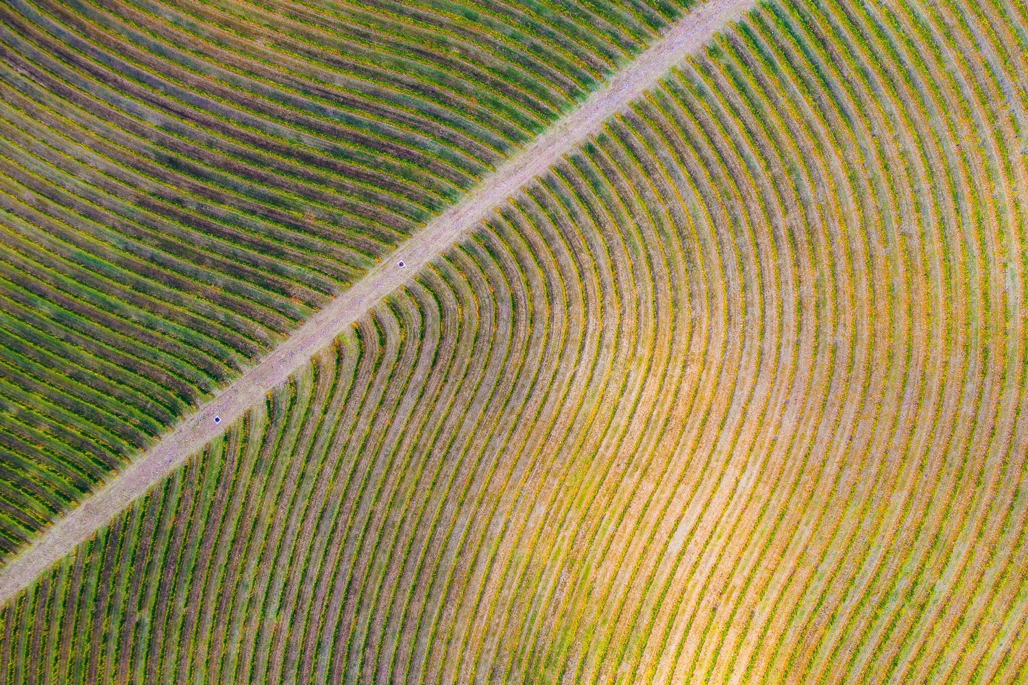 2019_09_DJI_0519.jpg