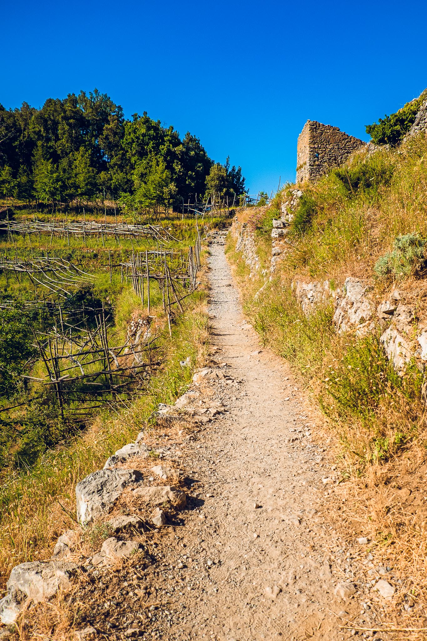  I made it back to Nocelle and then started heading back down the 1,700 stairs. My knees really started to feel it about halfway down. The locals have a saying ‘you climb up the stairs with your heart, but down with your knees”. Apparently the rate o