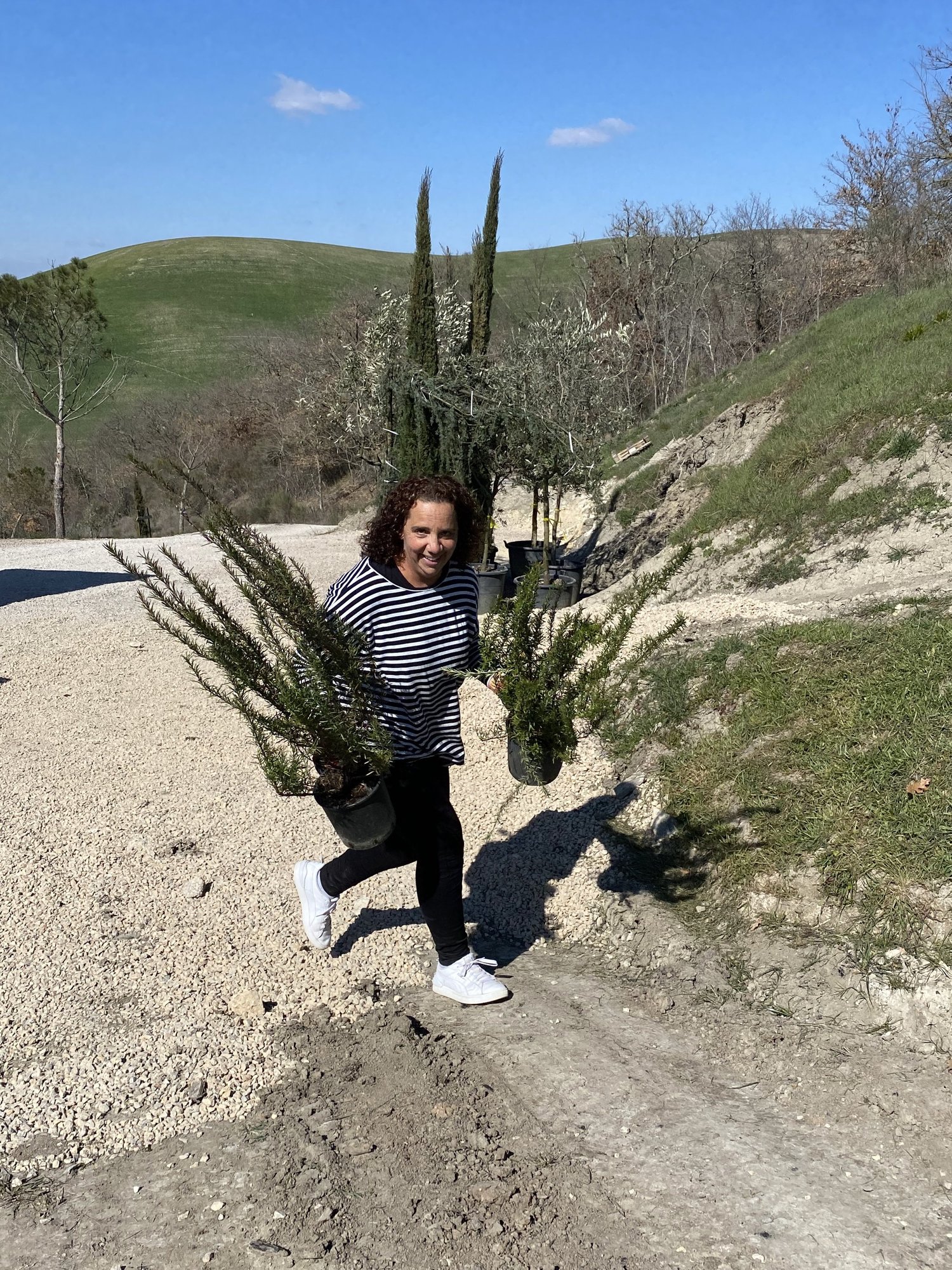 mandiplants.jpg