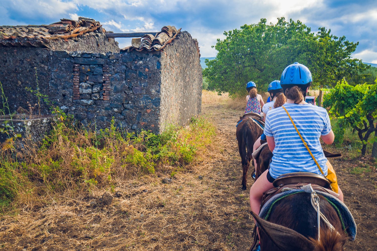  After a great time on the donkeys we headed back to the stables. 