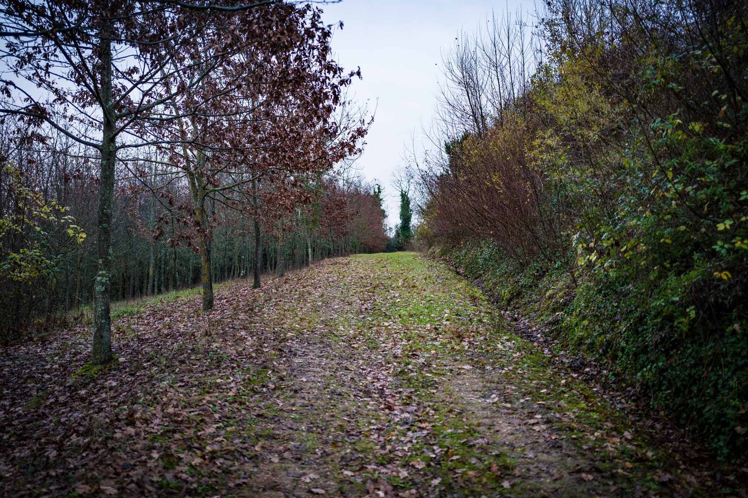 Quick walk in the countryside while the car defrosts