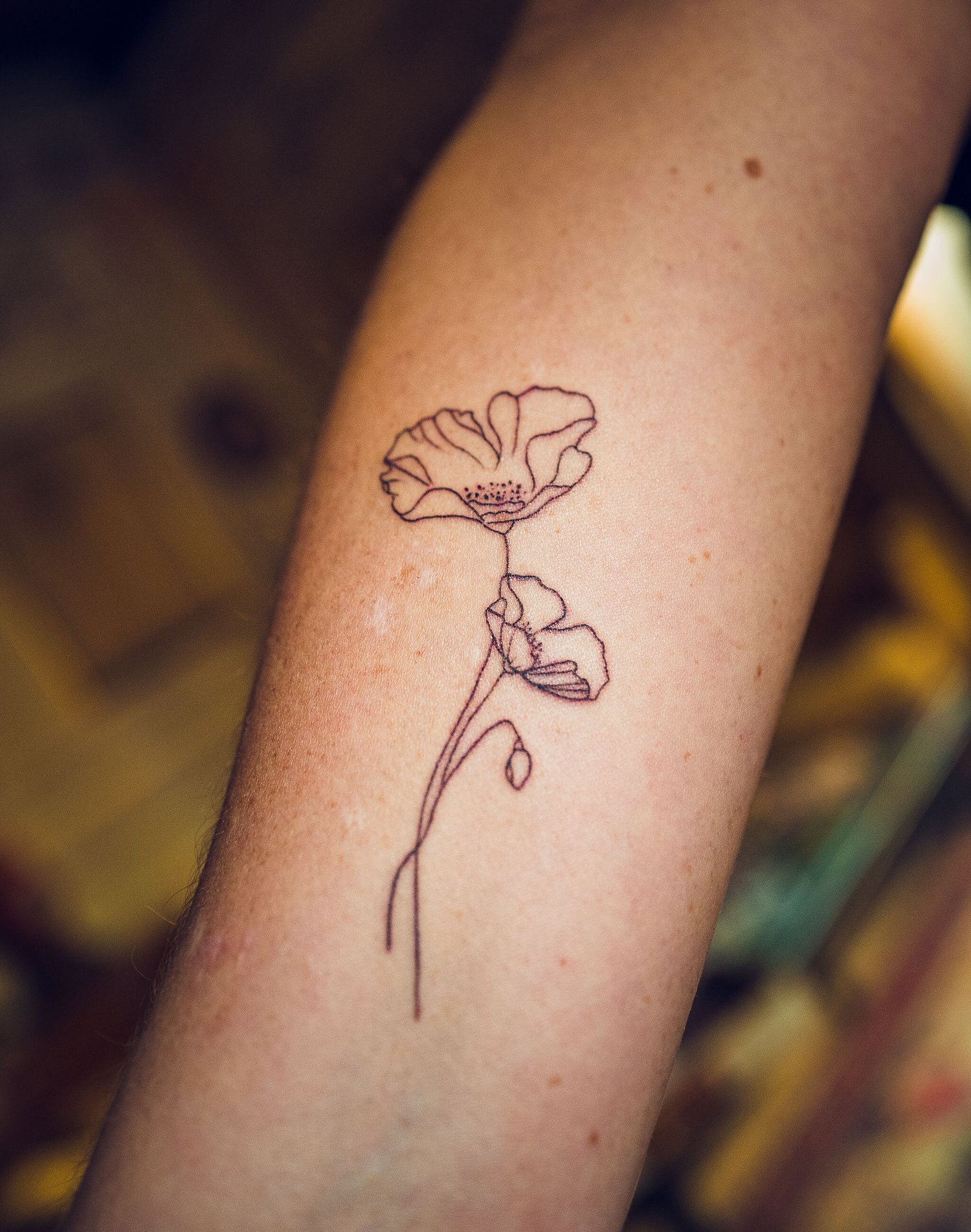 2019_11_L1270173.jpg