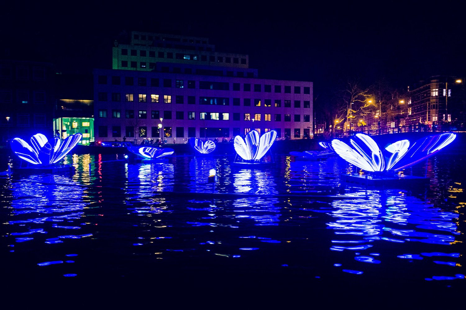2019_11_L1270524.jpg