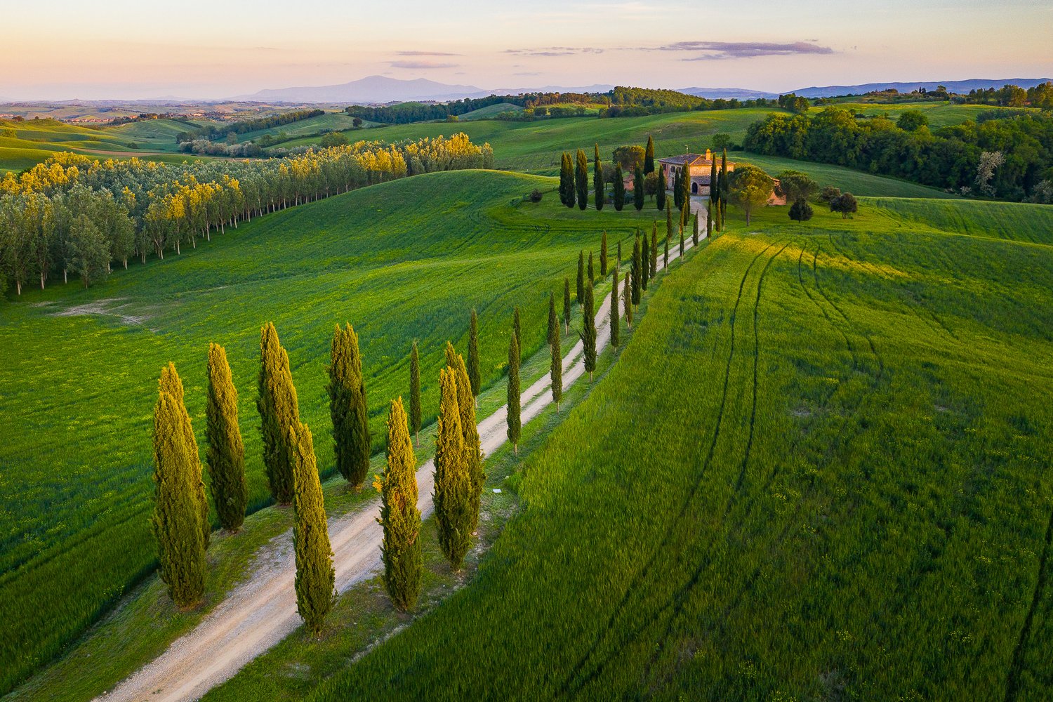 2019_05_DJI_0637.jpg