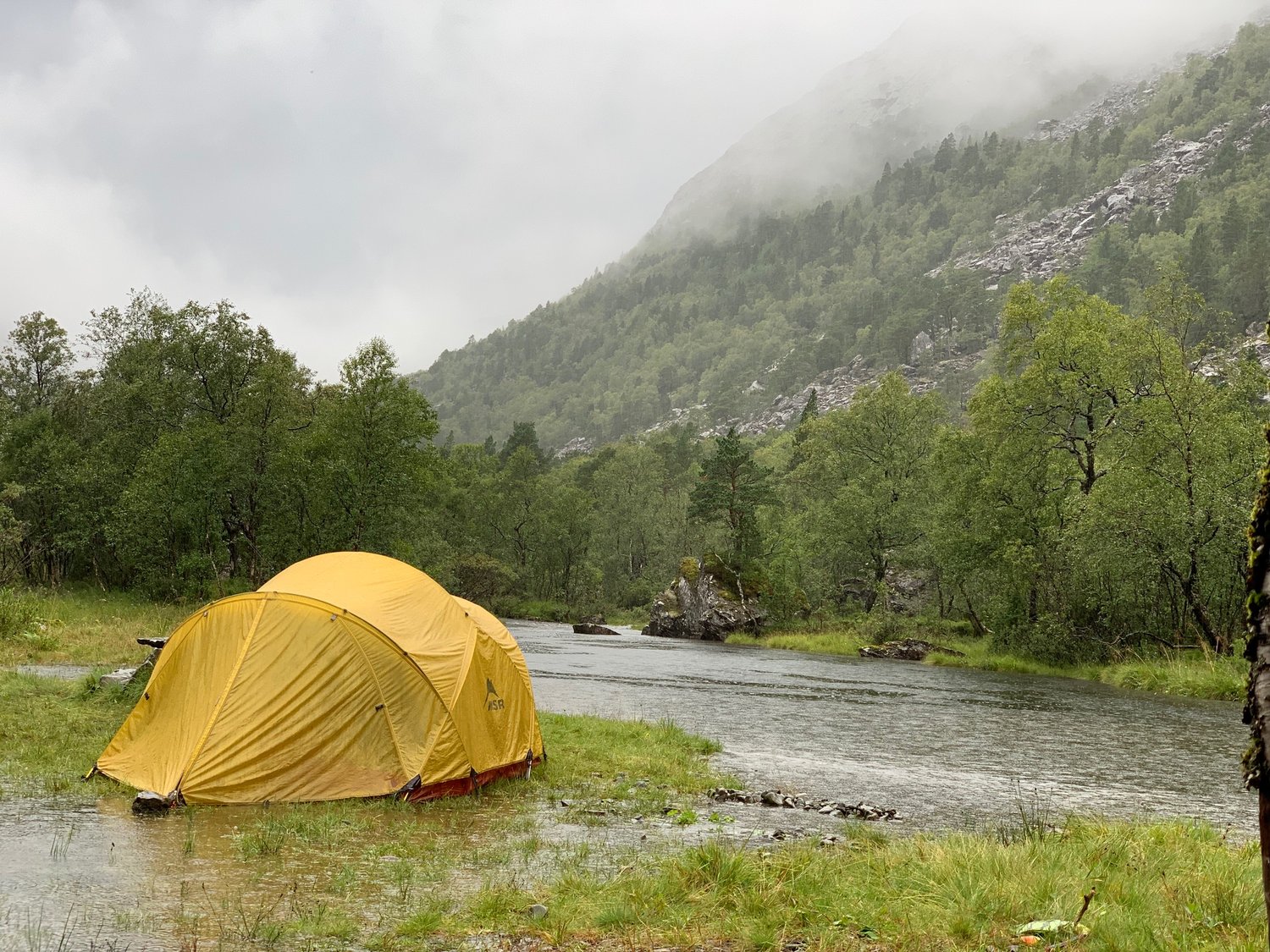 Day 48: ~ Camping ~