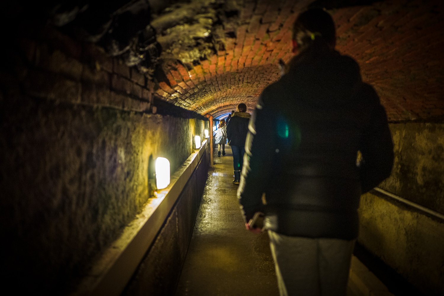 2019_01_L1250461.jpg
