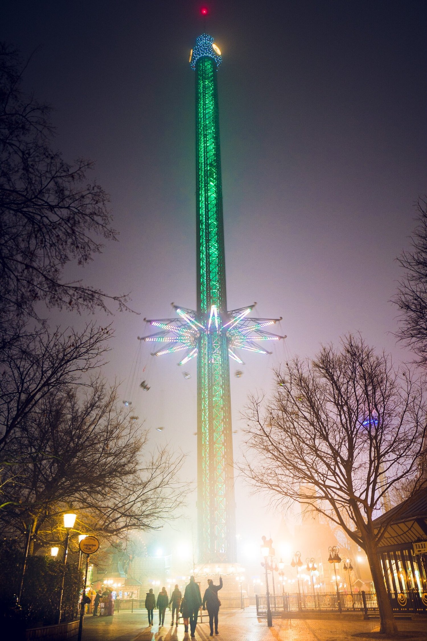 2020_01_L1310519.jpeg